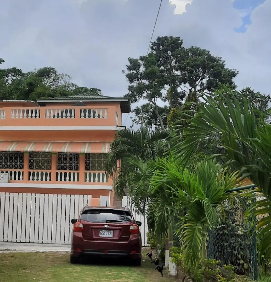 Apartamento The New Mount Pleasant Ja Penny Cooks 0*,  Jamaica