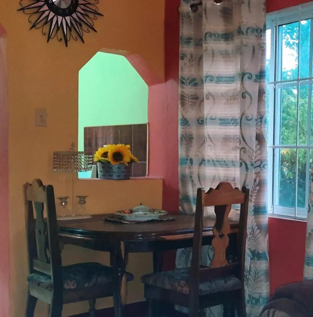 Apartamento The New Mount Pleasant Ja Penny Cooks